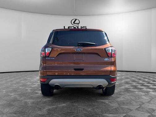 CANYON RIDGE METALLIC 2017 Ford Escape SE