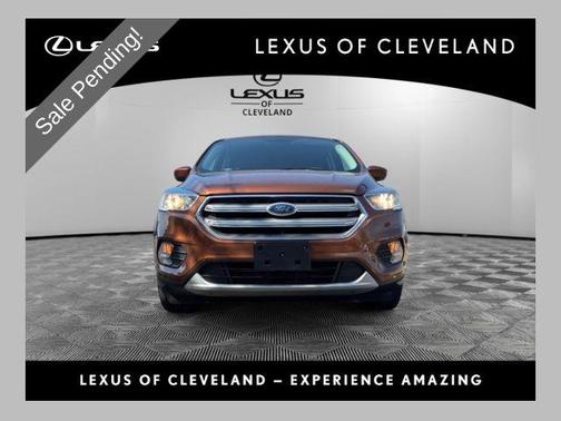 CANYON RIDGE METALLIC 2017 Ford Escape SE