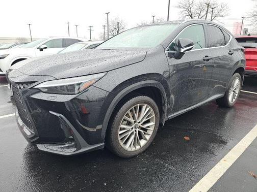 2024 Lexus NX 350 Luxury
