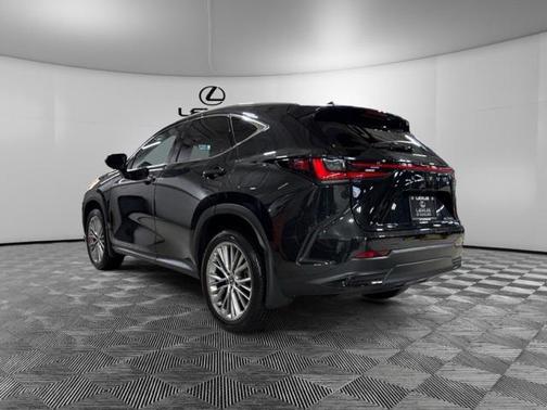 2024 Lexus NX 350 Luxury