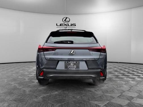 2024 Lexus UX 250h F Sport