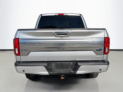 INGOT SILVER 2019 Ford F-150 Platinum