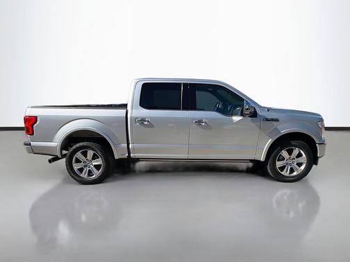 INGOT SILVER 2019 Ford F-150 Platinum