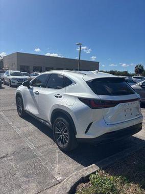 2023 Lexus NX 250 Base