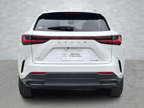 2023 Lexus NX 250 Base