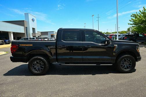 Agate Black Metallic 2025 Ford F-150 Tremor