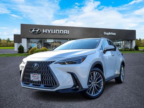 2024 Lexus NX 350 Luxury