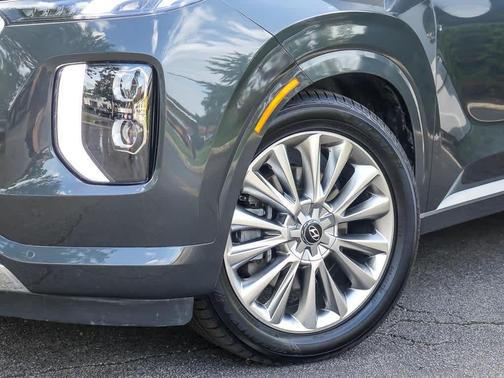 Rainforest 2020 Hyundai PALISADE Limited
