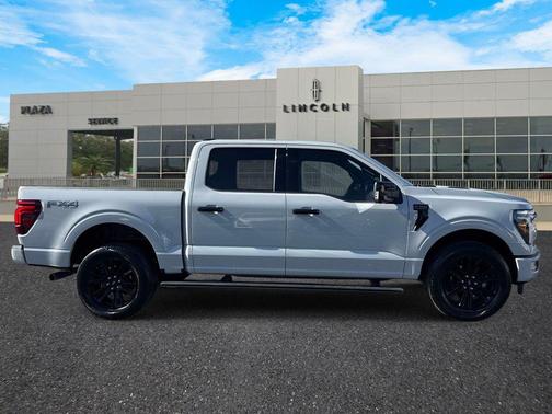 Avalanche 2024 Ford F-150 Platinum