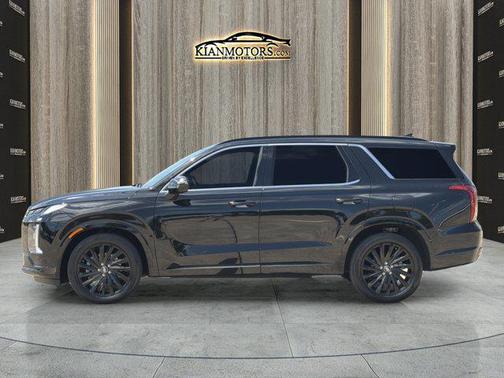 Abyss Black Pearl 2024 Hyundai PALISADE Calligraphy Night Edition