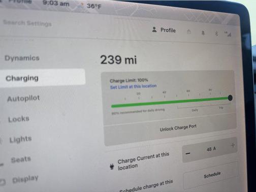 2020 Tesla Model Y Performance Dual Motor All-Wheel Drive