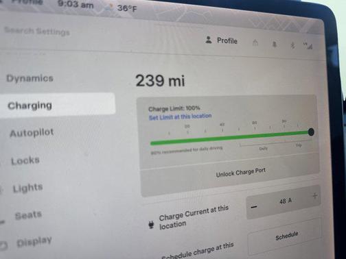 2020 Tesla Model Y Performance Dual Motor All-Wheel Drive