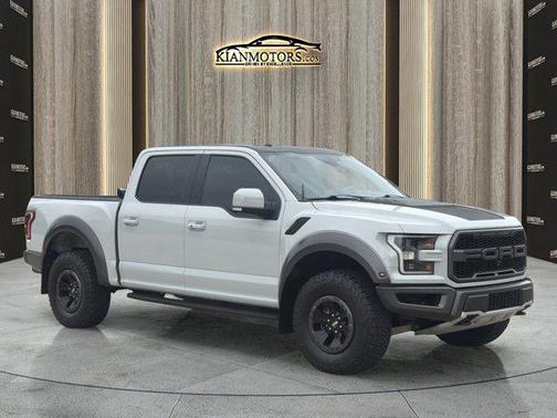 Arabian Gray 2017 Ford F-150 Raptor