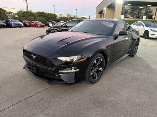 2019 Ford Mustang EcoBoost