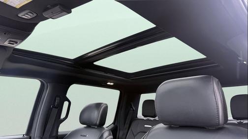 Magnetic Metallic 2020 Ford F-150 Platinum
