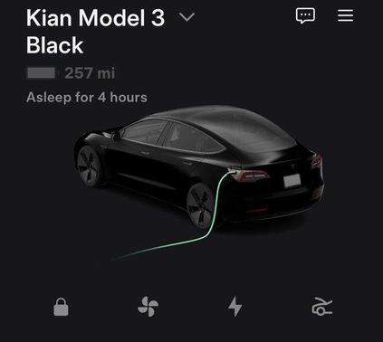 2022 Tesla Model 3 Standard Range