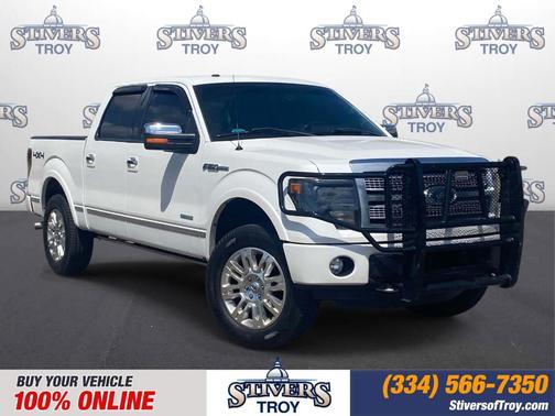 2013 Ford F-150 Platinum