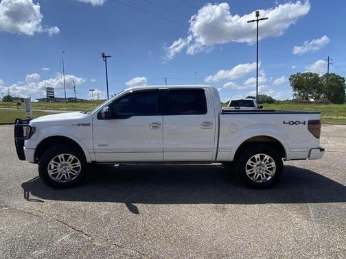 2013 Ford F-150 Platinum