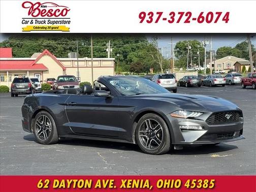 Magnetic 2019 Ford Mustang EcoBoost Premium