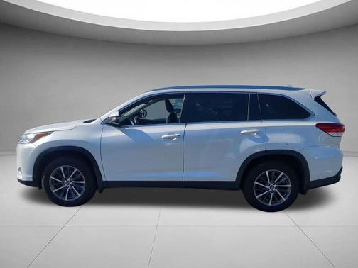 Blizzard Pearl 2019 Toyota Highlander XLE