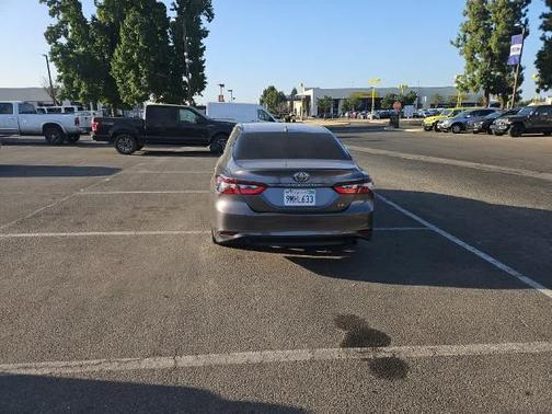 Predawn Gray Mica 2024 Toyota Camry LE