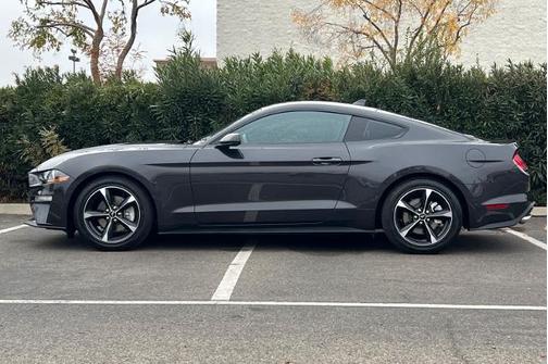 2023 Ford Mustang ECOBOOST