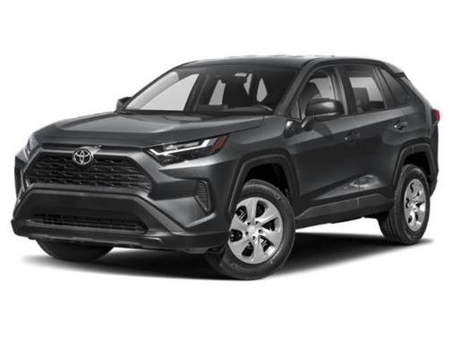 Ice Cap 2023 Toyota RAV4 LE