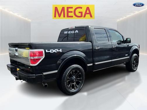 Tuxedo Black Metallic 2013 Ford F-150 Platinum