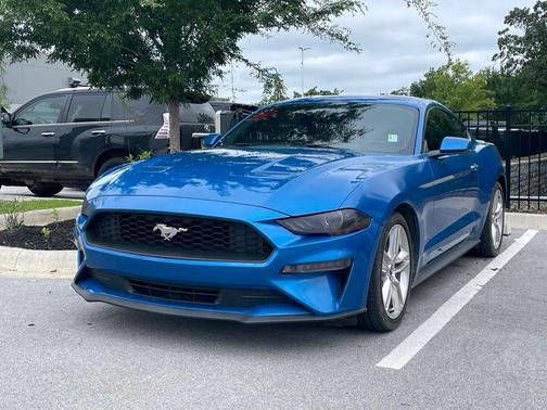 Blue Metallic 2020 Ford Mustang EcoBoost Premium