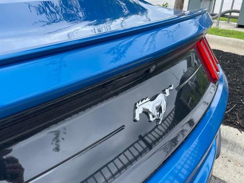 Blue Metallic 2020 Ford Mustang EcoBoost Premium