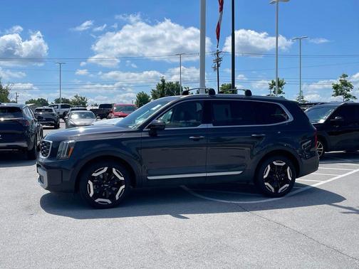 Panthera Metal 2025 Kia Telluride S