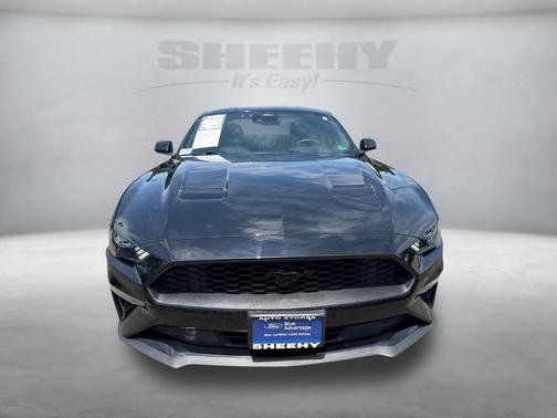 2022 Ford Mustang EcoBoost