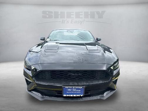 2022 Ford Mustang EcoBoost