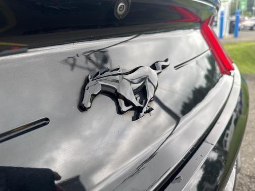 2022 Ford Mustang EcoBoost