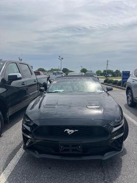 2021 Ford Mustang EcoBoost