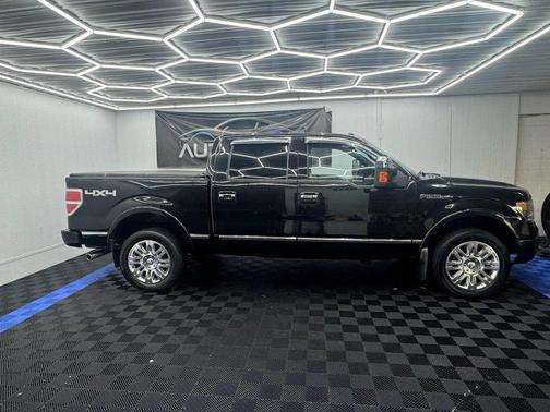 2013 Ford F-150 Platinum