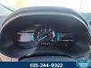 Green Metallic 2022 Ford Edge SEL