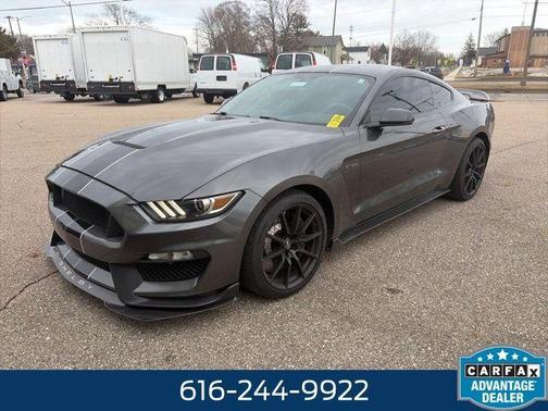 Magnetic 2016 Ford Shelby GT350 Base