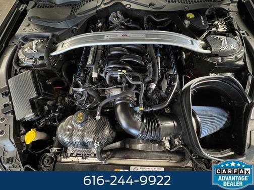 Magnetic 2016 Ford Shelby GT350 Base