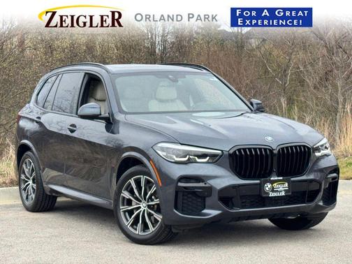 Arctic Gray Metallic 2022 BMW X5 xDrive40i