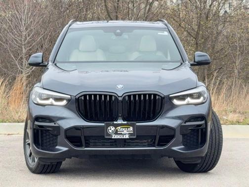 Arctic Gray Metallic 2022 BMW X5 xDrive40i