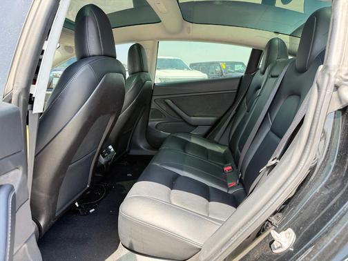 Green 2020 Tesla Model 3 Long Range