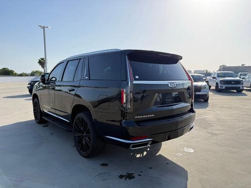 Black Raven 2022 Cadillac Escalade Luxury