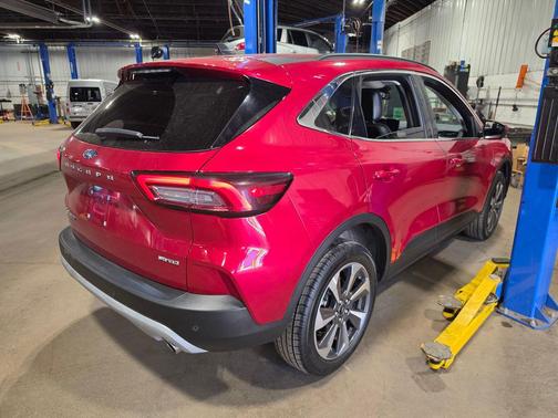 RAPID RED MET TINTED CC 2024 Ford Escape Platinum