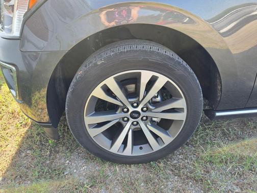 Magnetic Metallic 2020 Ford Expedition Platinum