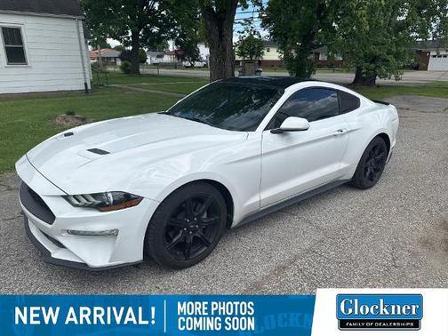 2019 Ford Mustang