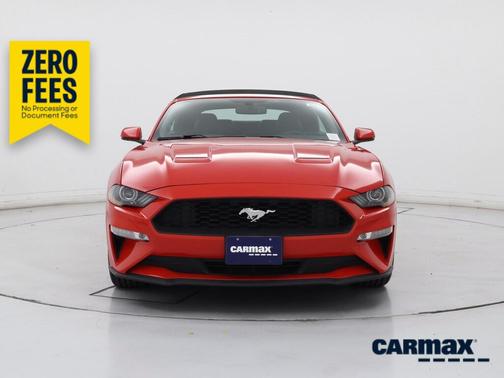 Red 2019 Ford Mustang Ecoboost Premium