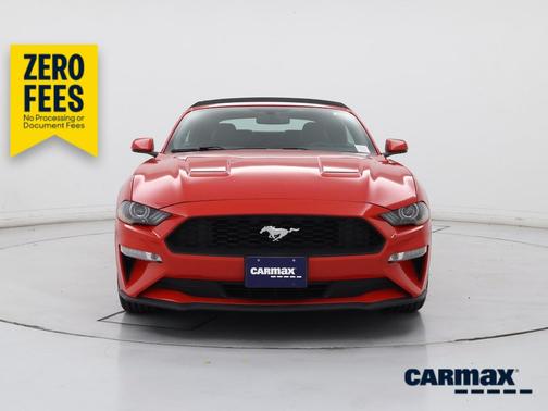 Red 2019 Ford Mustang Ecoboost Premium