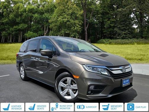 Pacific Pewter Metallic 2019 Honda Odyssey EX-L