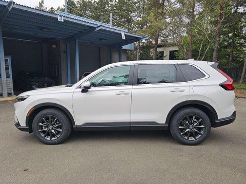Platinum White Pearl 2026 Honda CR-V EX-L